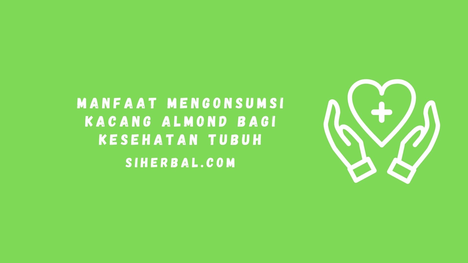 Manfaat Mengonsumsi Kacang Almond Bagi Kesehatan Tubuh