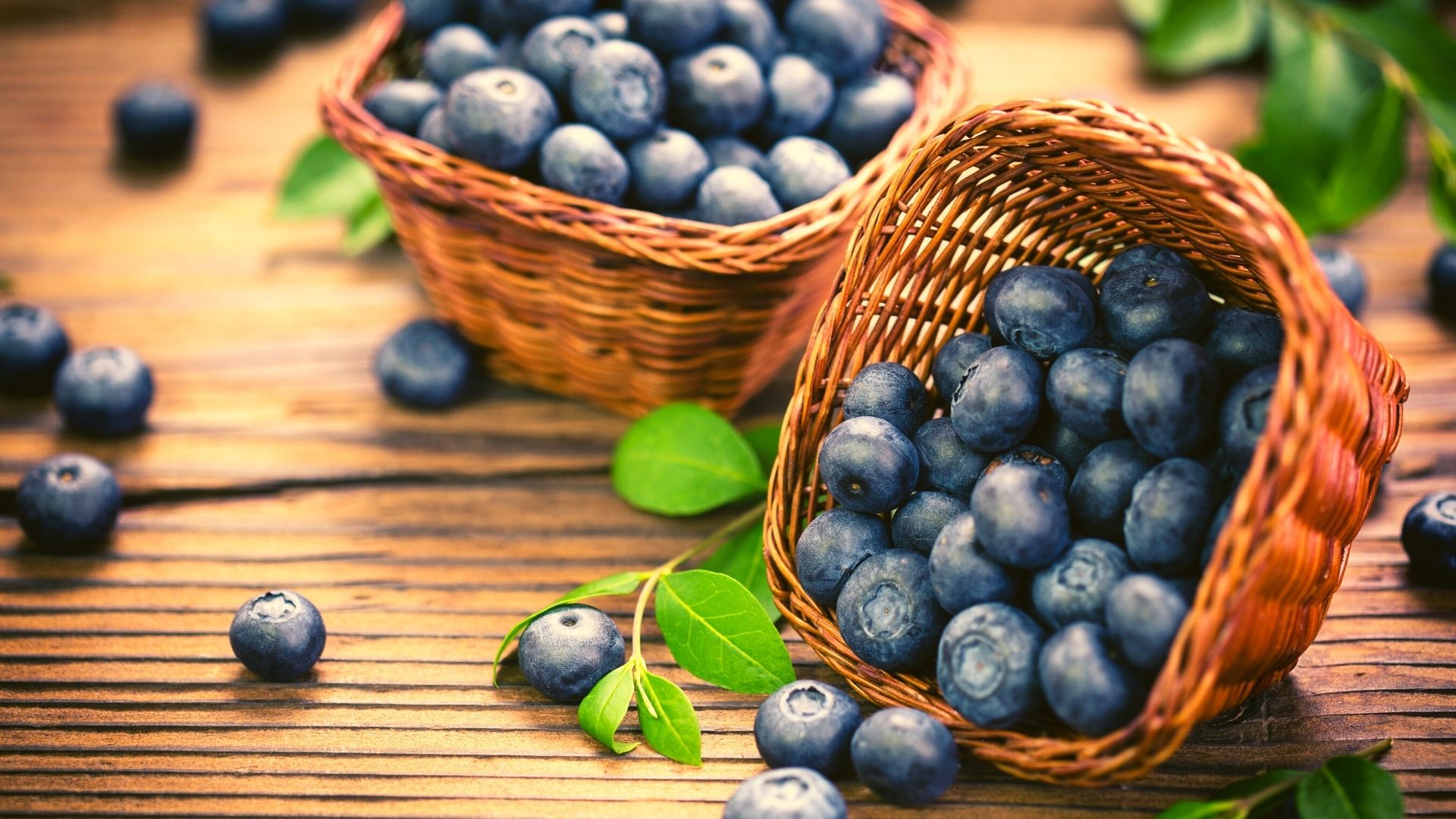 Manfaat Blueberry Bagi Kesehatan
