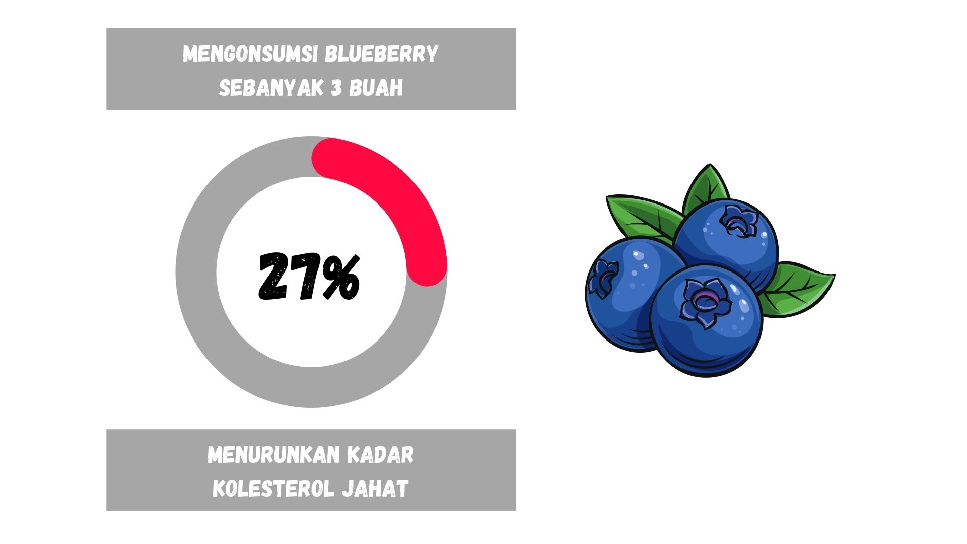 15+ Manfaat Blueberry Bagi Kesehatan Si Herbal