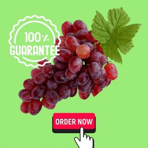 Anggur Merah Fresh 1 Kg